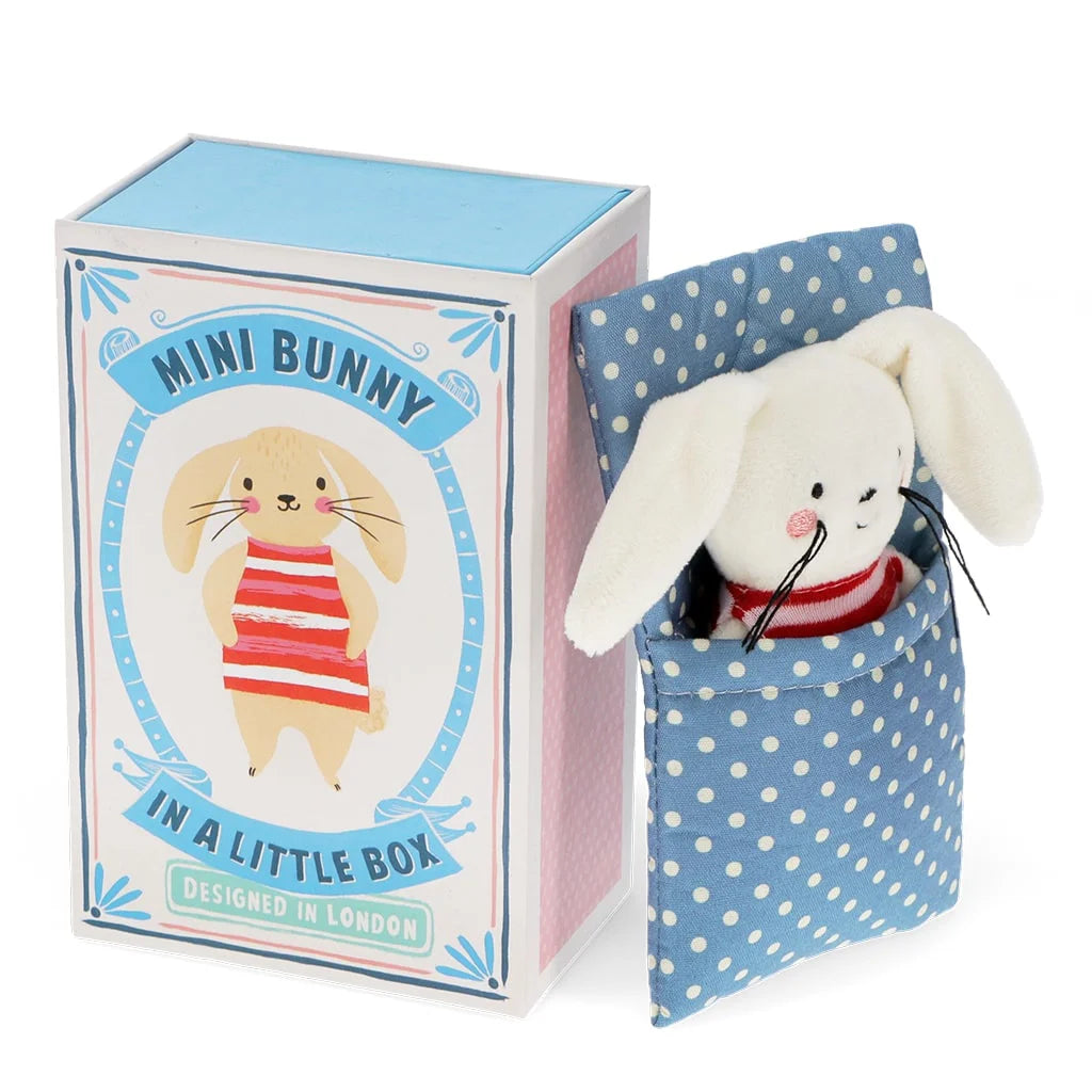 MINI PELUCHE NELLA SCATOLA DI FIAMMIFERI