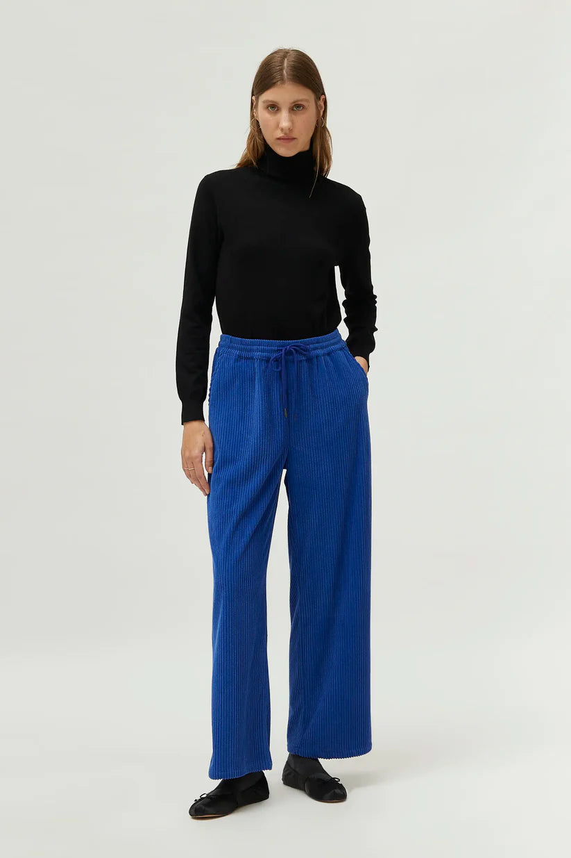 PANTALONI IN VELLUTO A COSTE